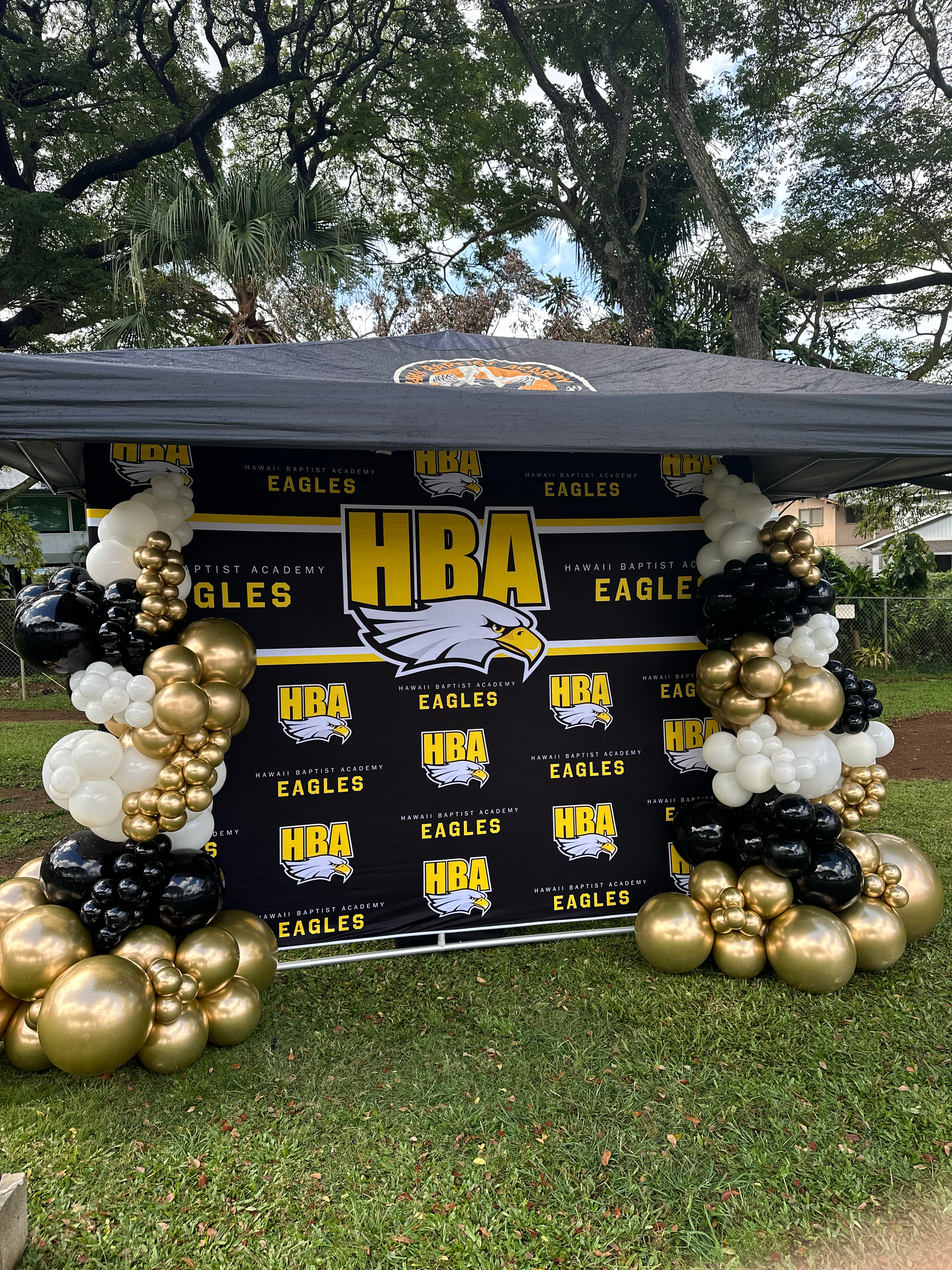 A banner with balloons on it is sitting on top of a lush green field.