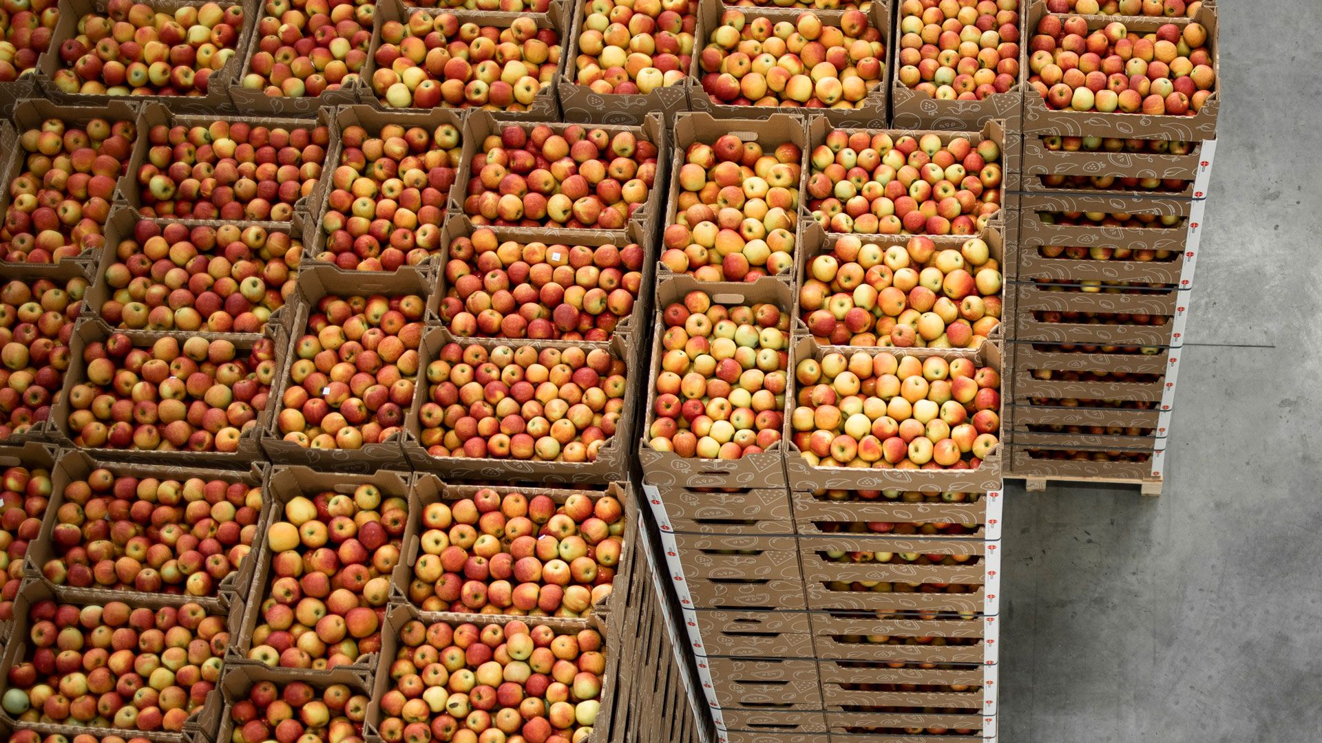 Food & Beverage Transportation Services Across the GTA KaideX