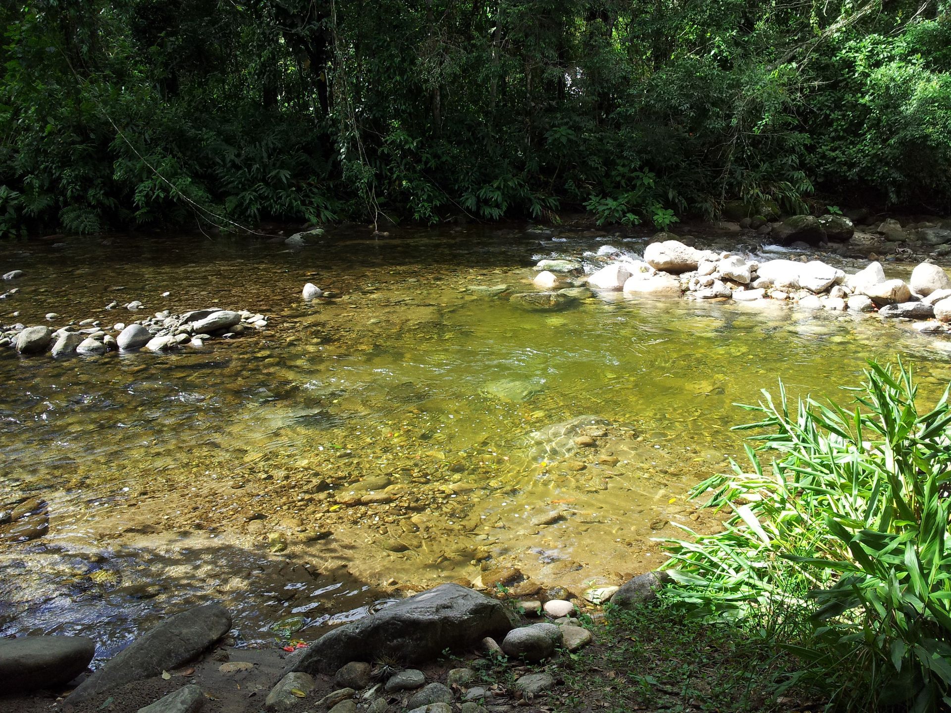 RIACHO NO RANCHO