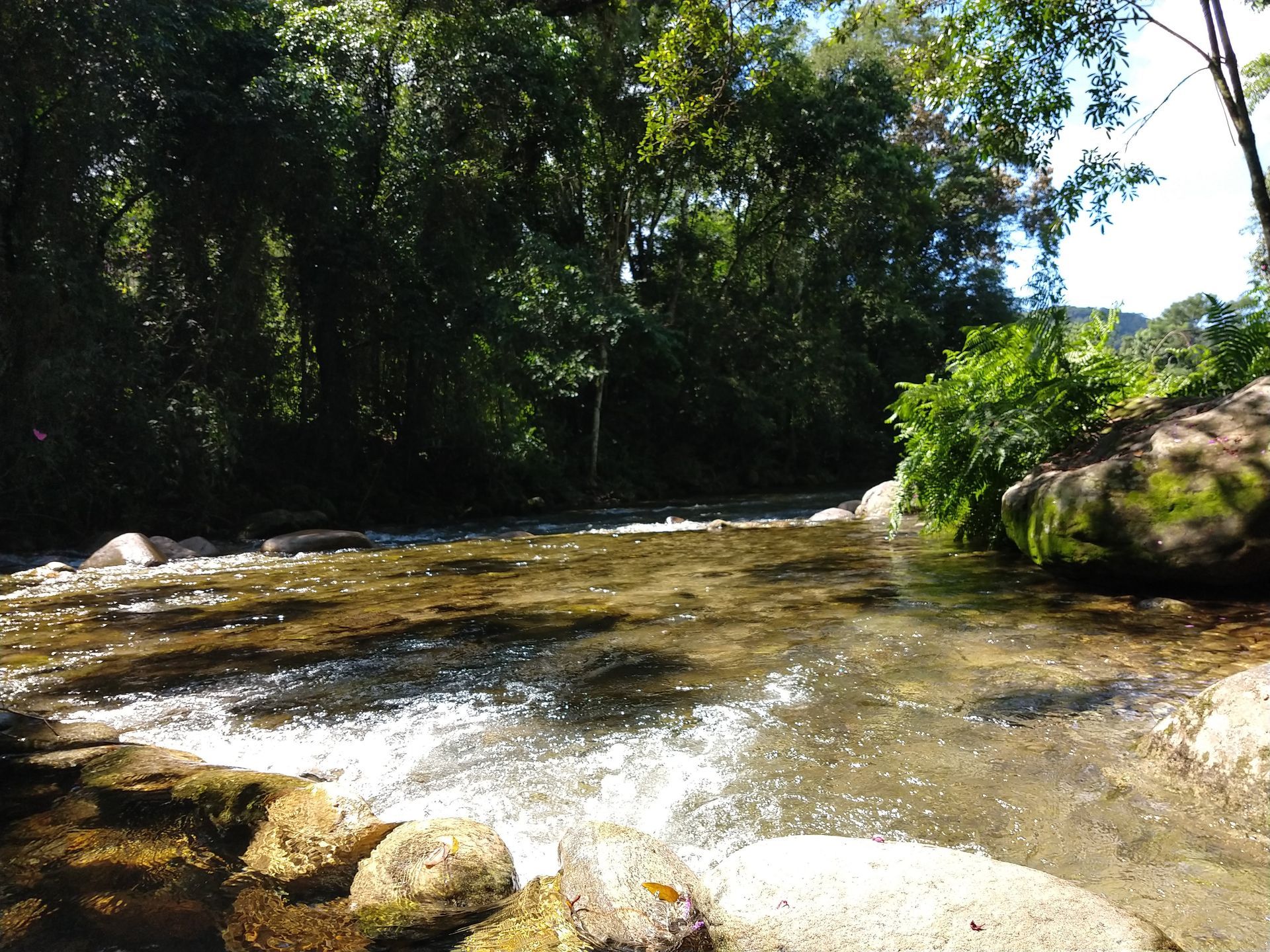 Rio de águas cristalinas na Mata Atlântica ao redor da pousada Rancho Texas em Ubatuba