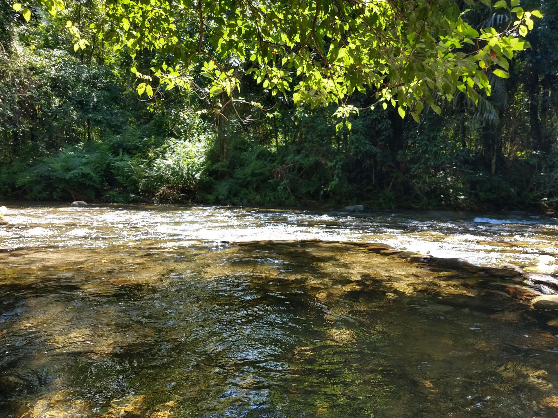 Rio de águas cristalinas na Mata Atlântica ao redor da pousada Rancho Texas em Ubatuba