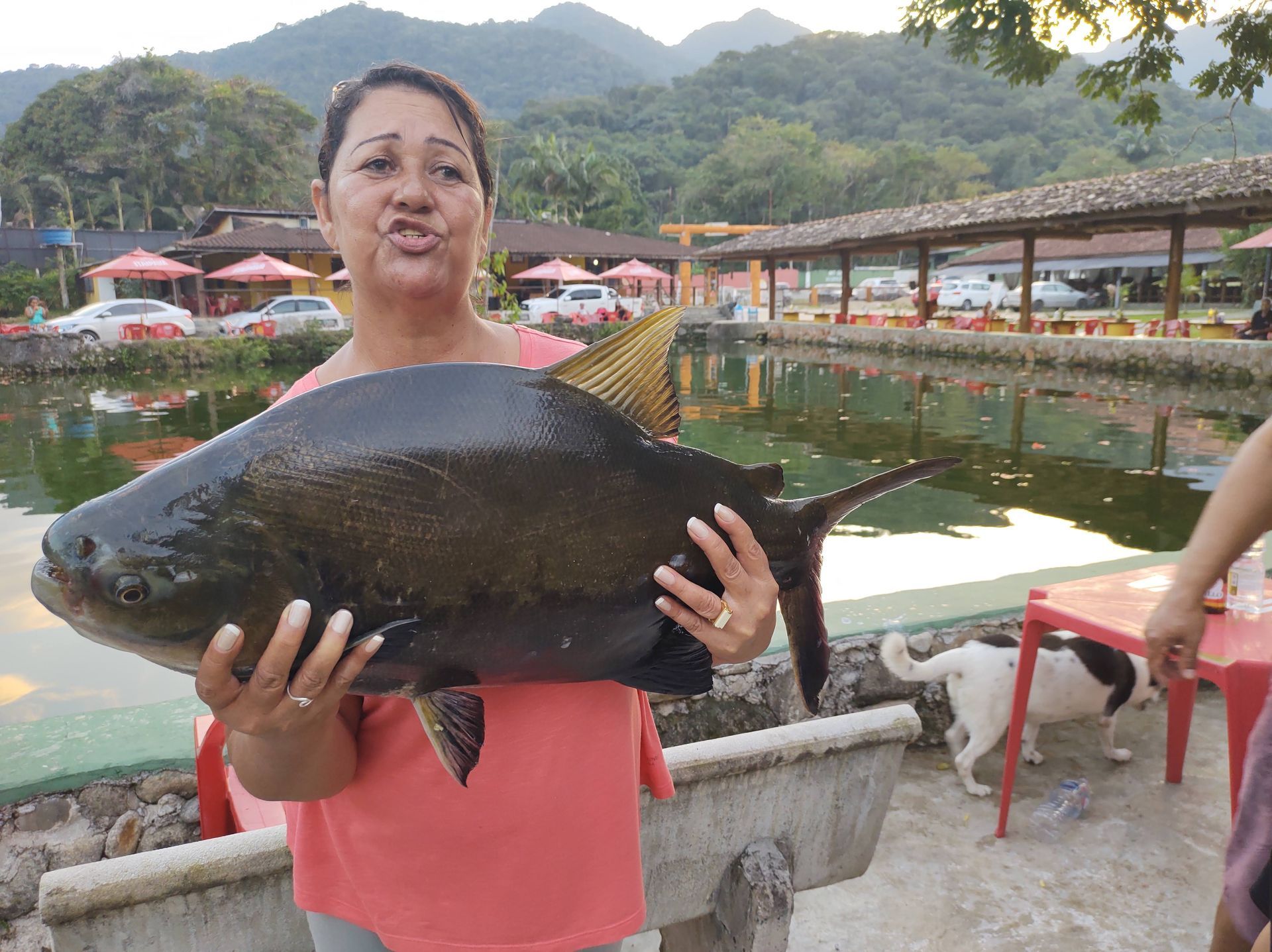 xe no pesqueiro)
Pesqueiro do Rancho Texas Ubatuba com hóspede pescando peixe em área de lazer familiar