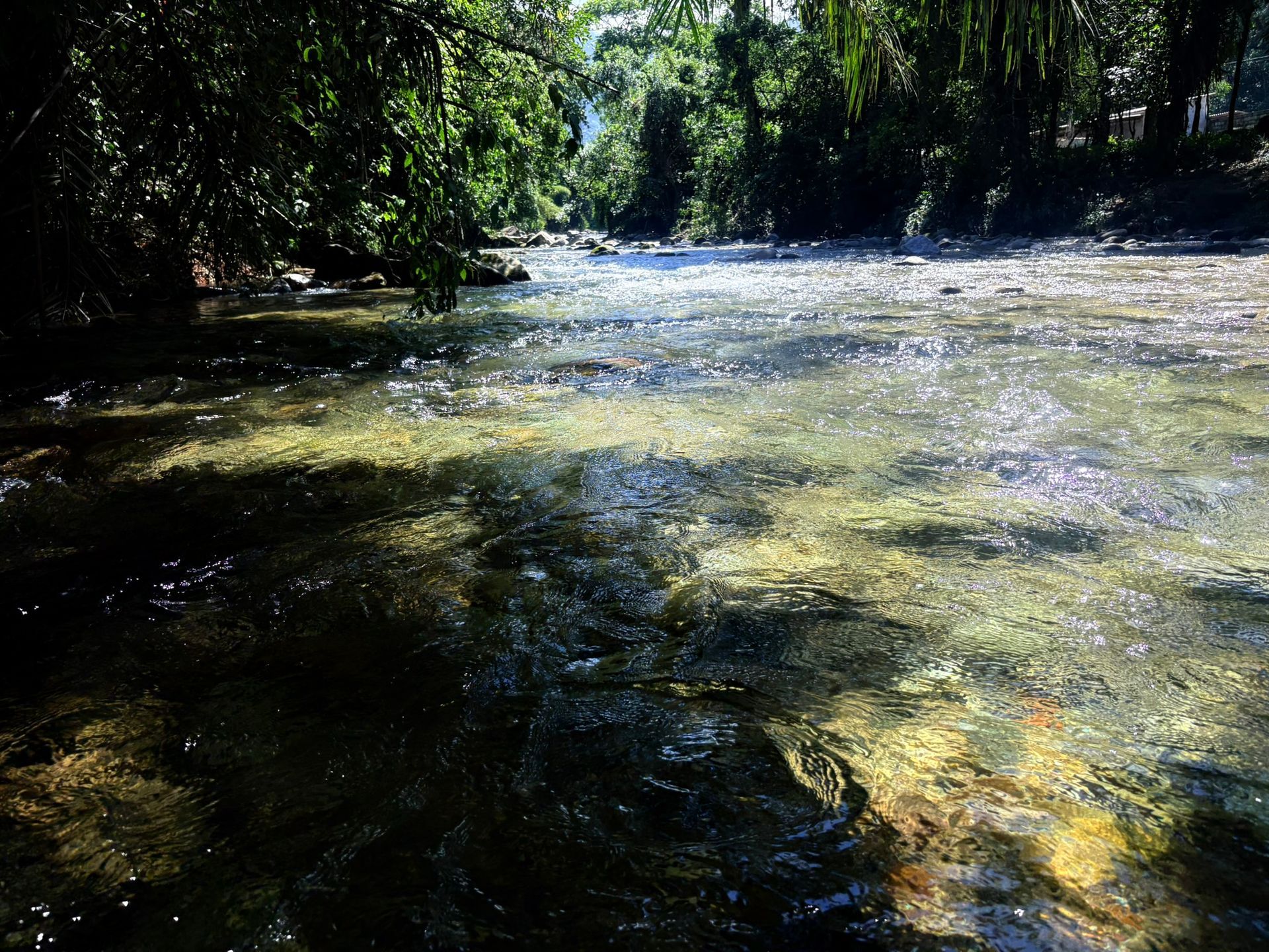 RIACHO NO RANCHO