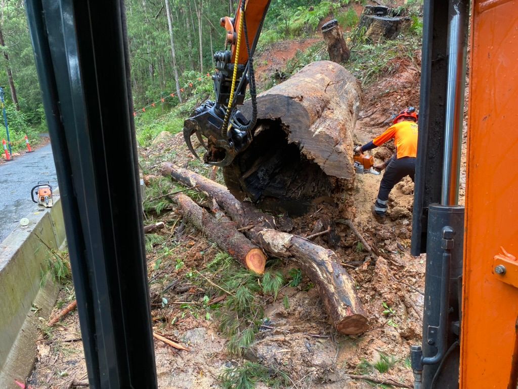An Excavator Lifts a Large Log While a Worker Uses a Chainsaw on a Hillside — MNC Trees in Wauchope, NSW