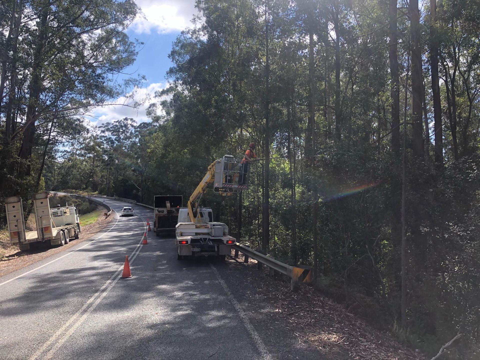 Two Utility Trucks Trimming Trees Along a Road — MNC Trees in Bonny Hills, NSW