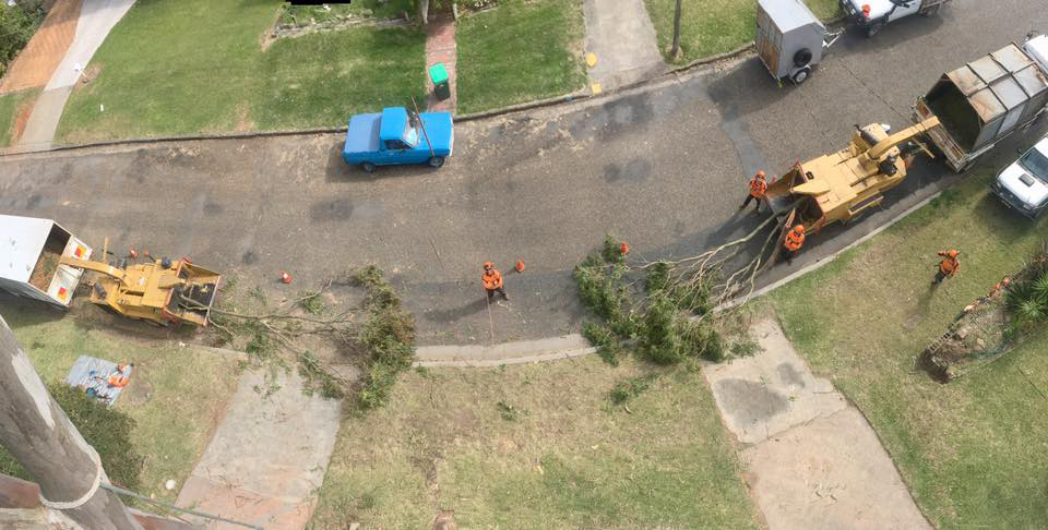 Street Scene: Workers with Heavy Machinery Clearing Tree — MNC Trees in Laurieton, NSW