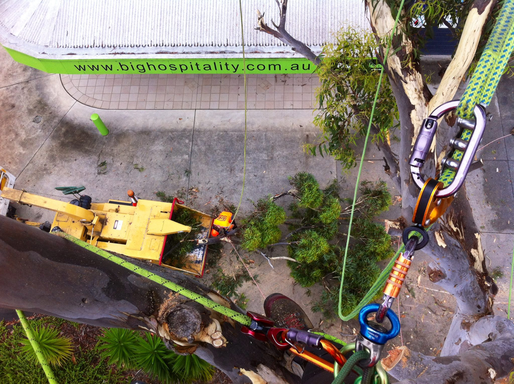 A Tree Arborist With Safety Gear Near a Yellow Crane and Building — MNC Trees in Kempsey, NSW