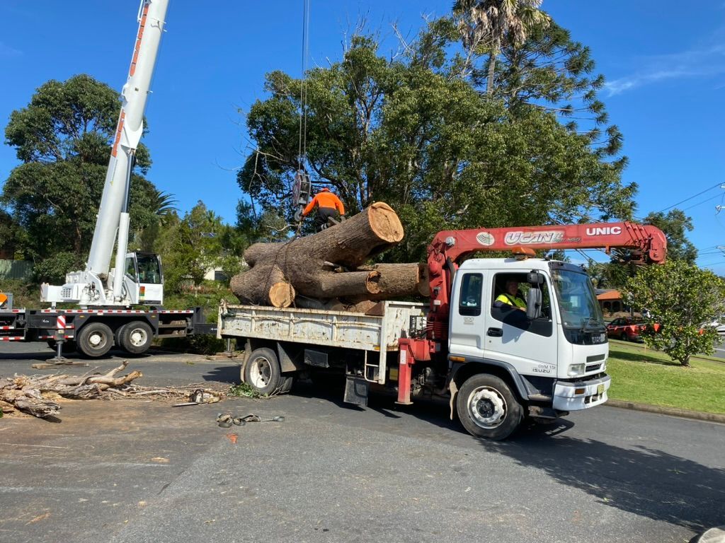Truck Loading Logs with Crane; Worker on Log. White Crane on Left — MNC Trees in Laurieton, NSW