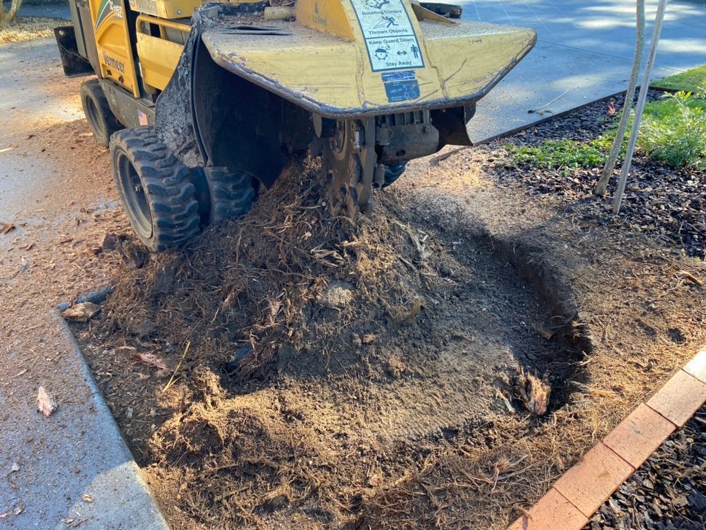 Cutting a Tree Stump in The Grass — MNC Trees in Port Macquarie, NSW