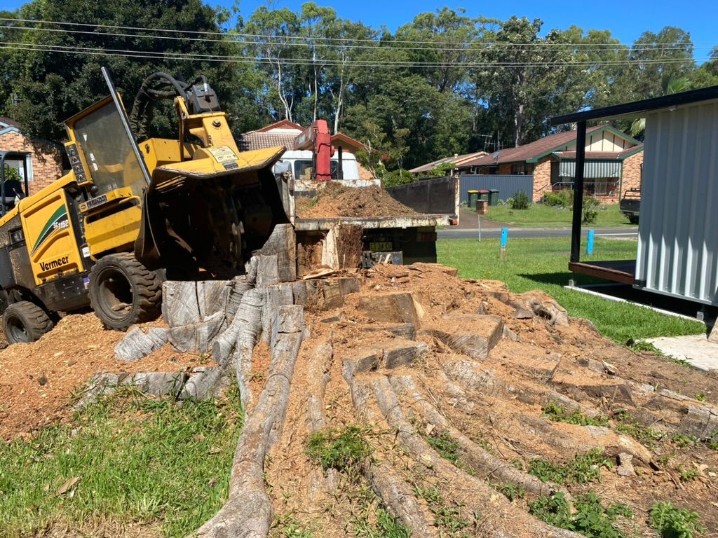 Yellow Stump Grinder Grinding a Tree Stump in a Yard — MNC Trees in Port Macquarie, NSW