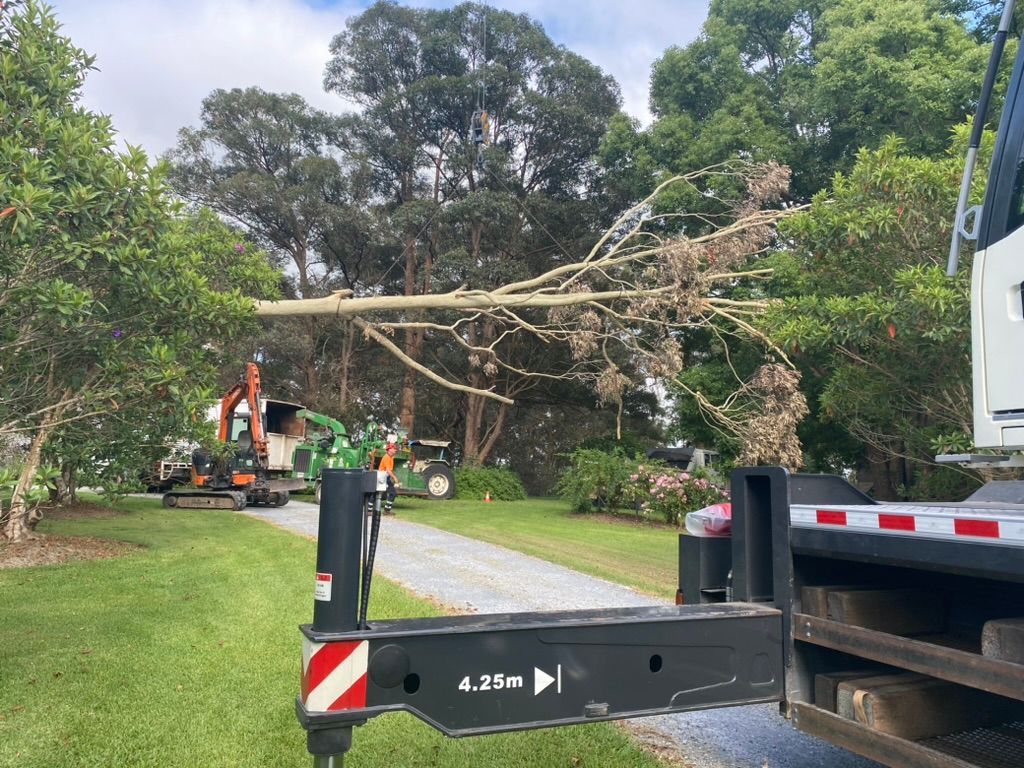 Tree Branch Being Removed With Machinery, on a Driveway — MNC Trees in Port Macquarie, NSW