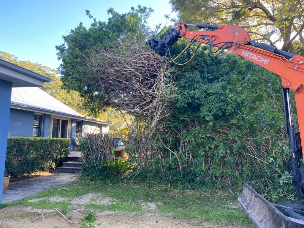 An Excavator Trimming a Tree Near a Blue House — MNC Trees in Port Macquarie, NSW