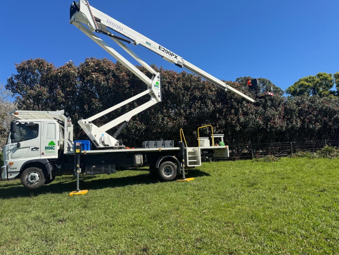 Truck-mounted lift trimming a hedge. White truck on green lawn, operator in basket cutting dark hedge— MNC Trees in Wauchope, NSW