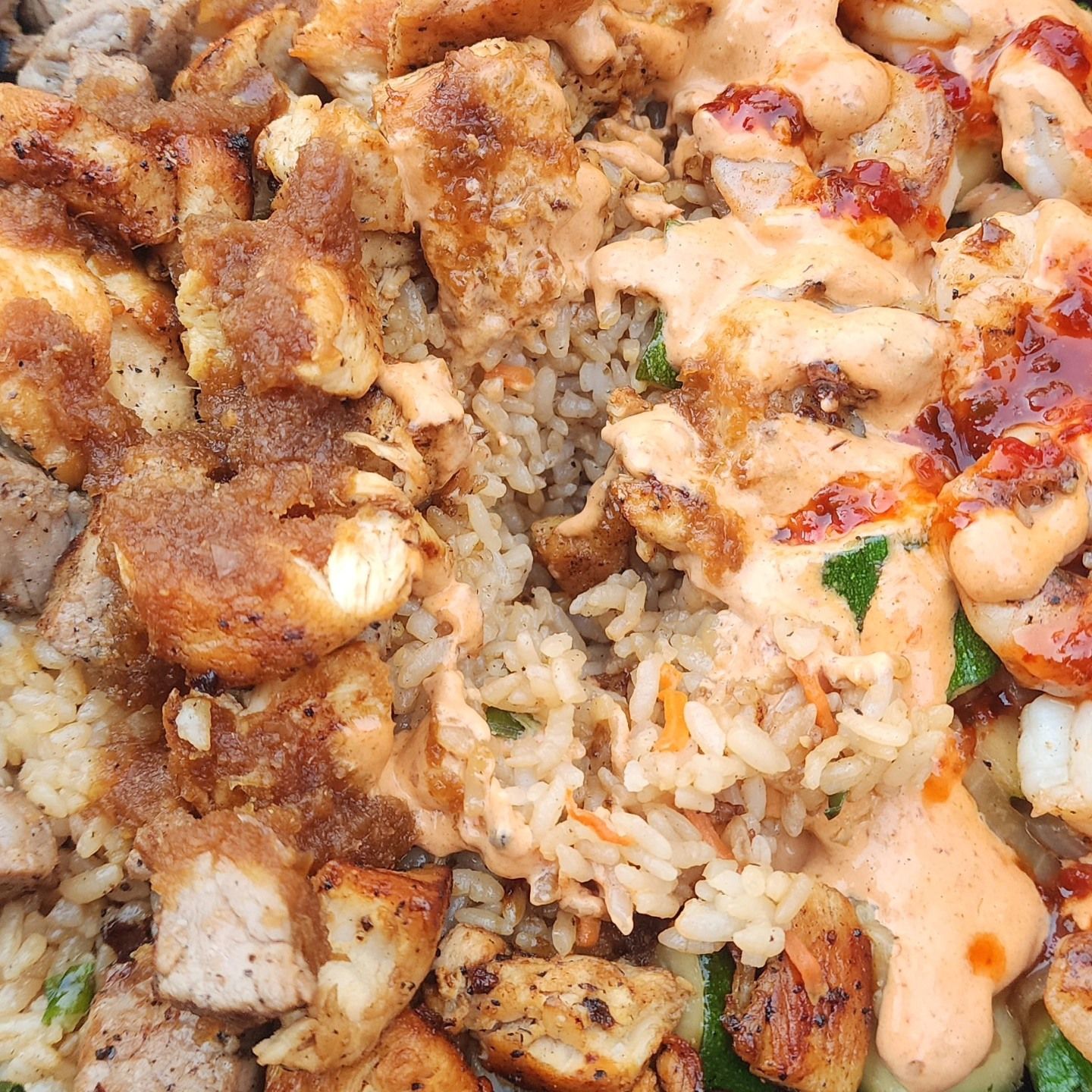 A close up of a plate of food with rice , meat and sauce.