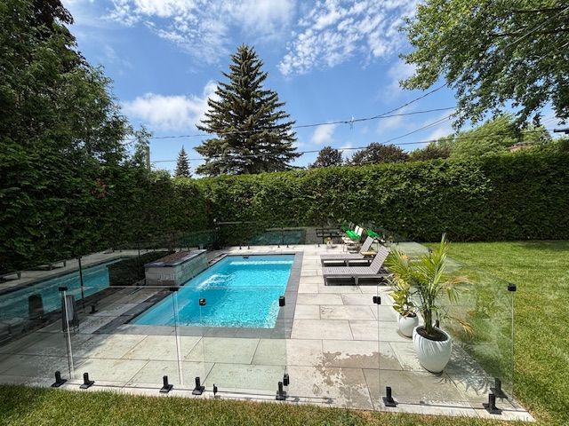 Backyard with rectangular pool, patio, glass fence, green lawn, trees, and lounge chairs on a sunny day.