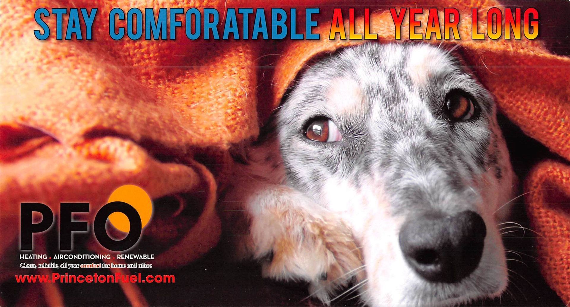 Dog wrapped in orange blanket, text: