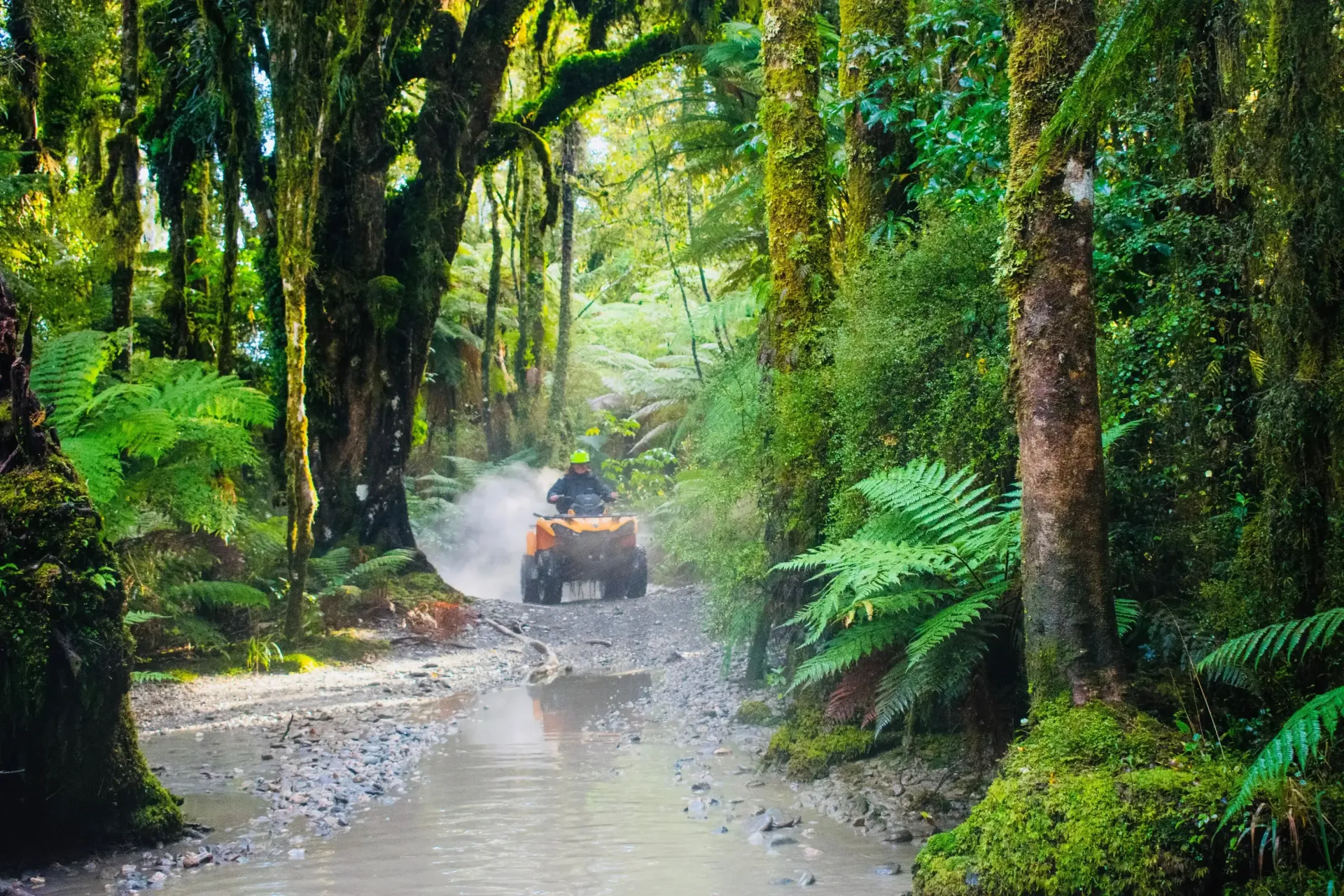 ATV driving through a muddy forest path, kicking up dust; lush green foliage.