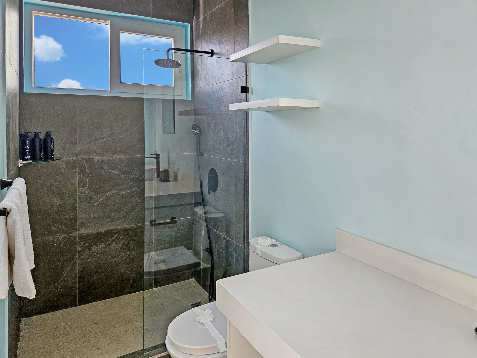 Bathroom with shower, toilet, sink, blue walls, and a window with a sky view.