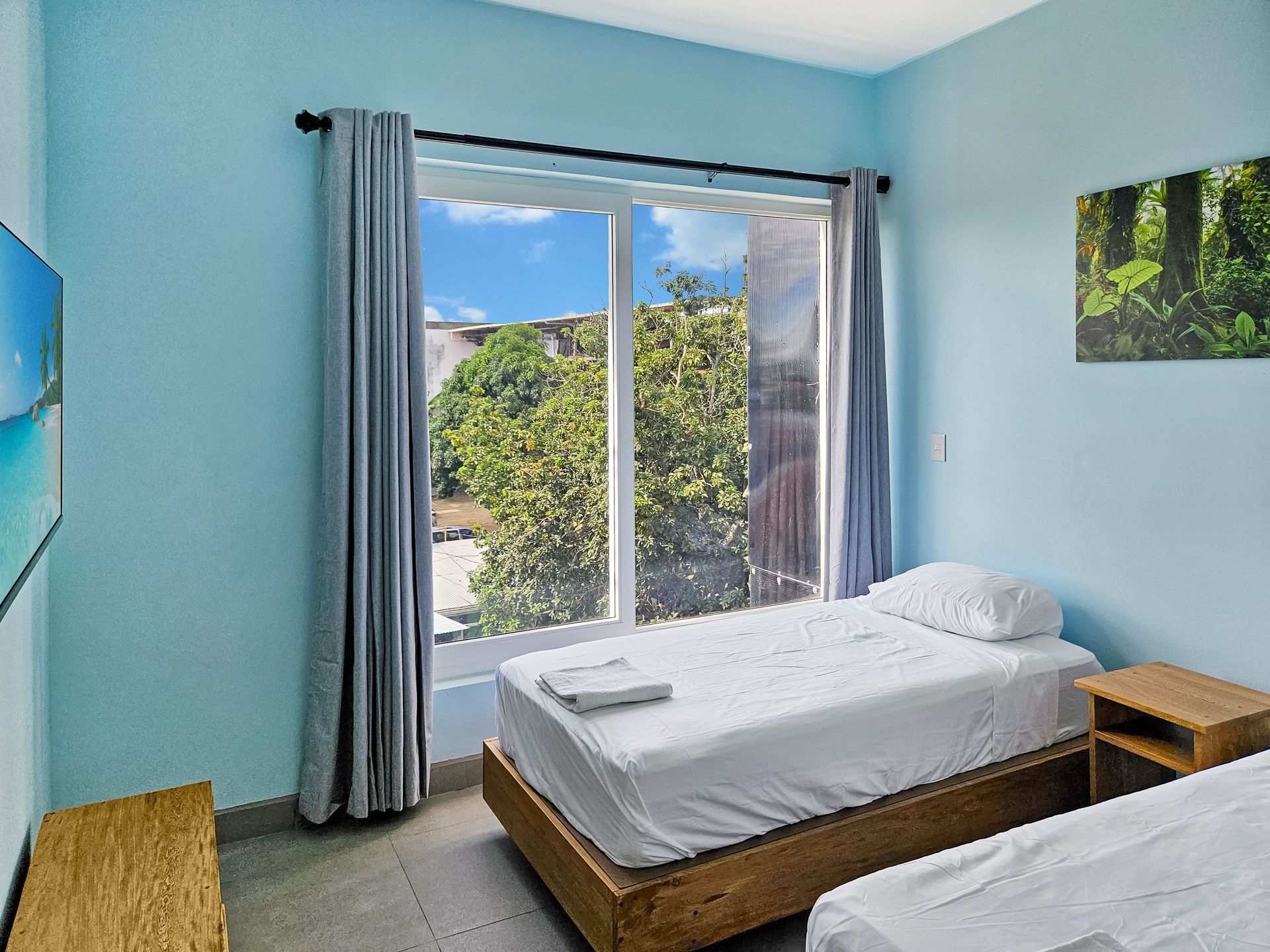 Two twin beds in a room with a window, blue walls, and nature artwork.