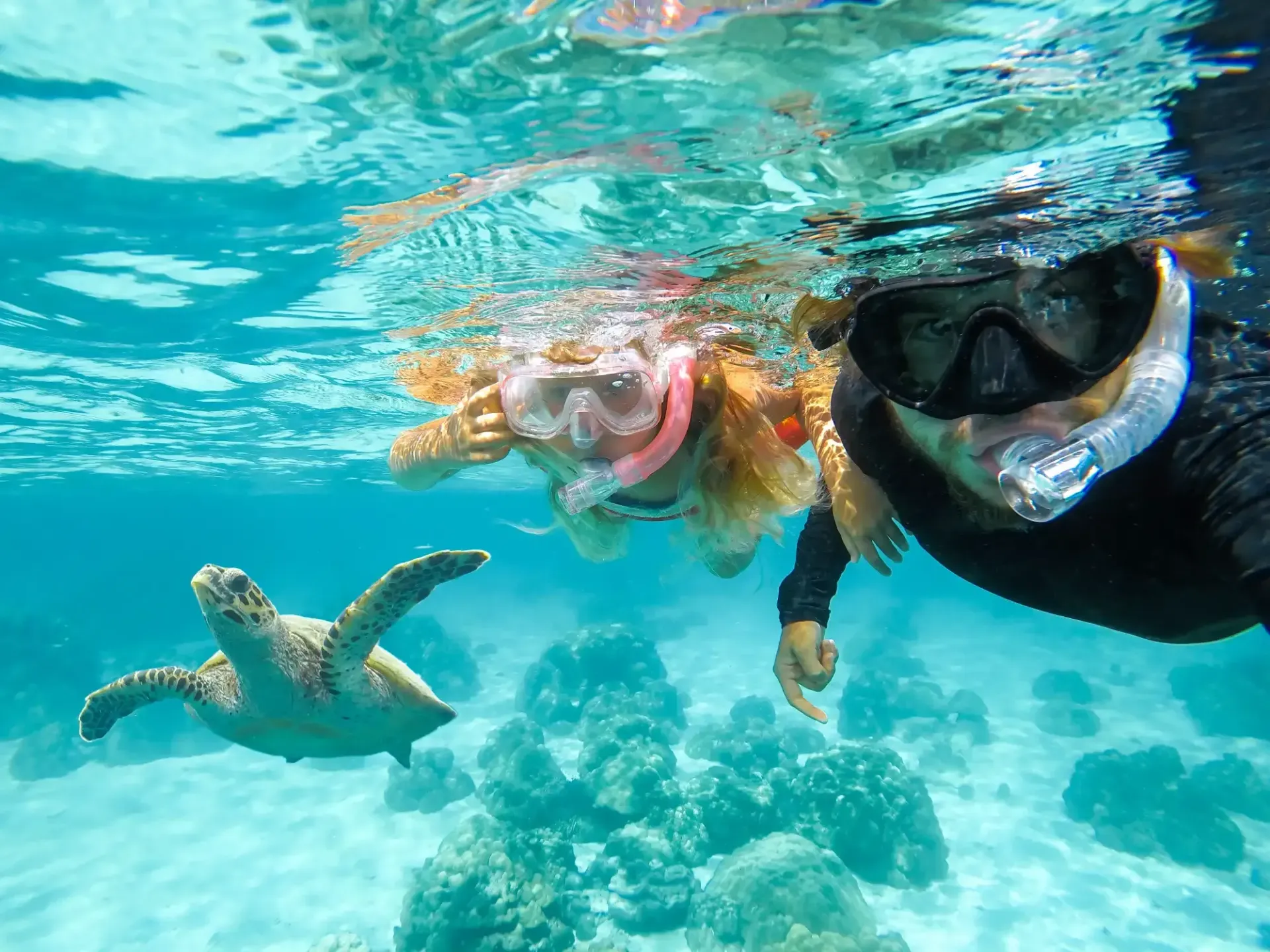 Two people snorkeling, one with a sea turtle, in clear blue ocean water.