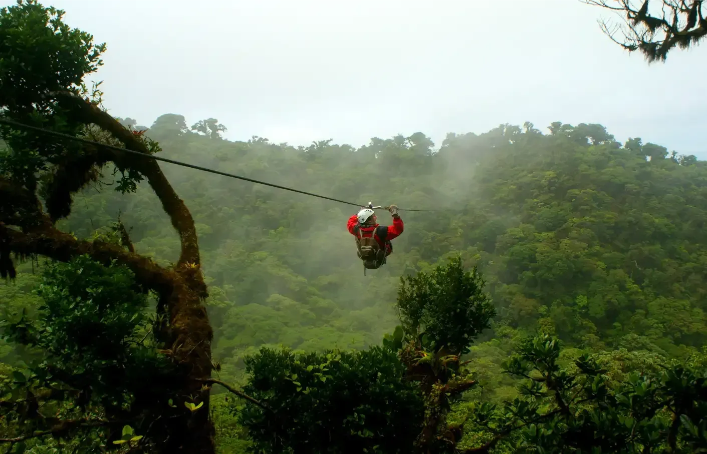 Person zip-lining through a lush green rainforest, with trees and mist.