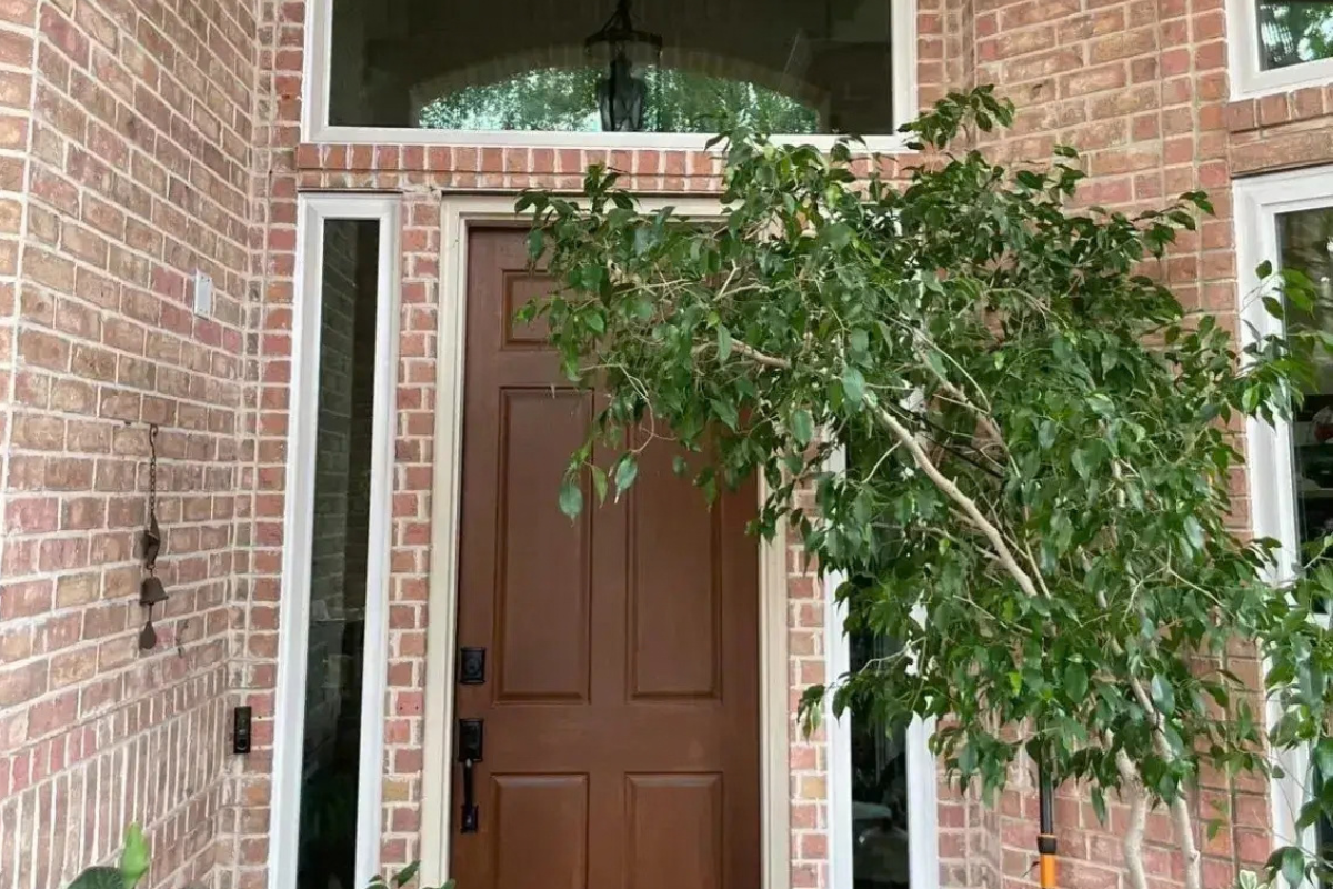 legacy-window-faqs-image