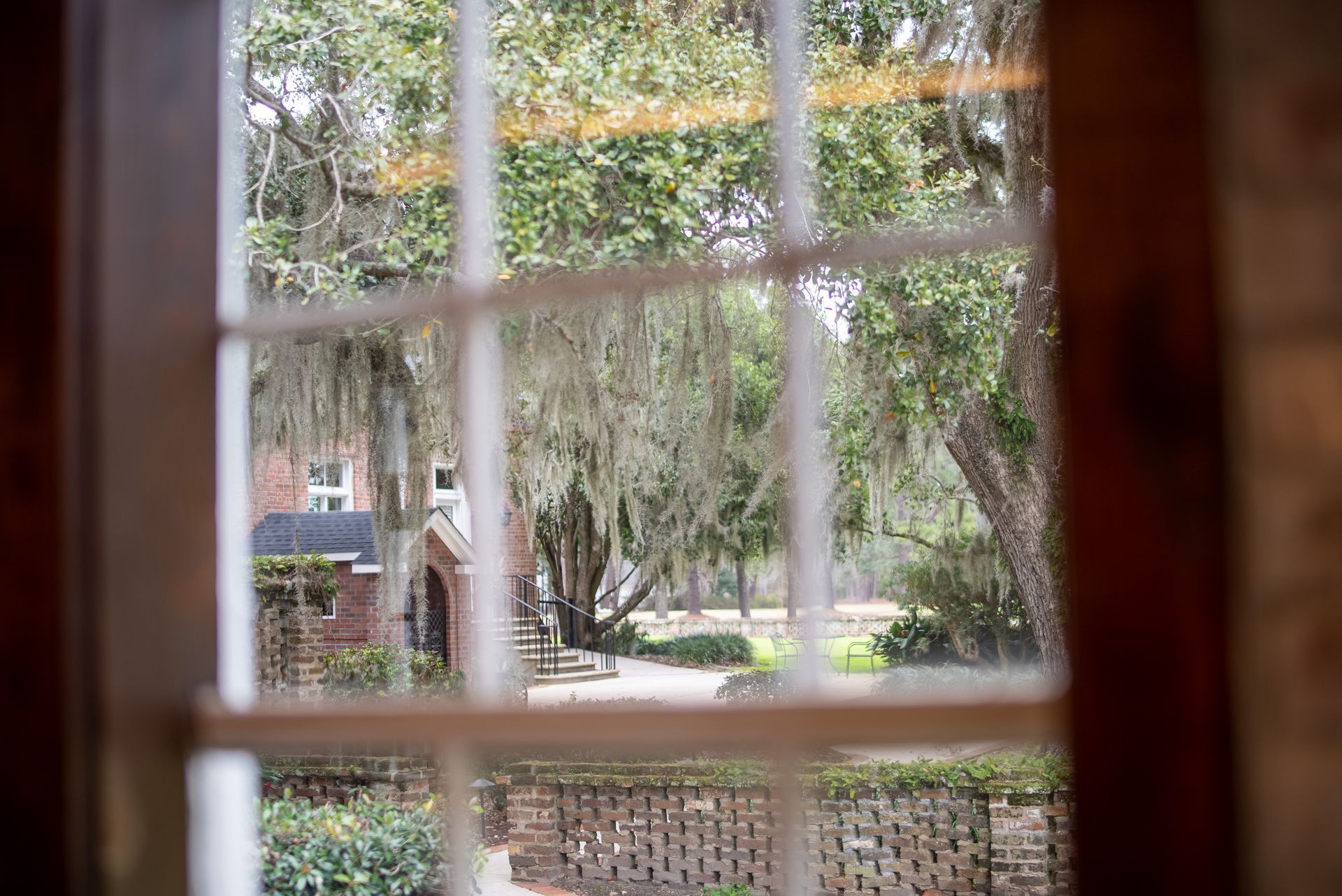 a view of a house through a window with trees in the background .