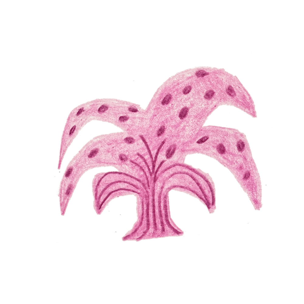 工作坊與營隊 - 插圖 - 粉色植物