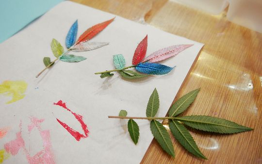 藝術學習的功能 - 延伸生活視野與培養觀察觀察力，見微知著