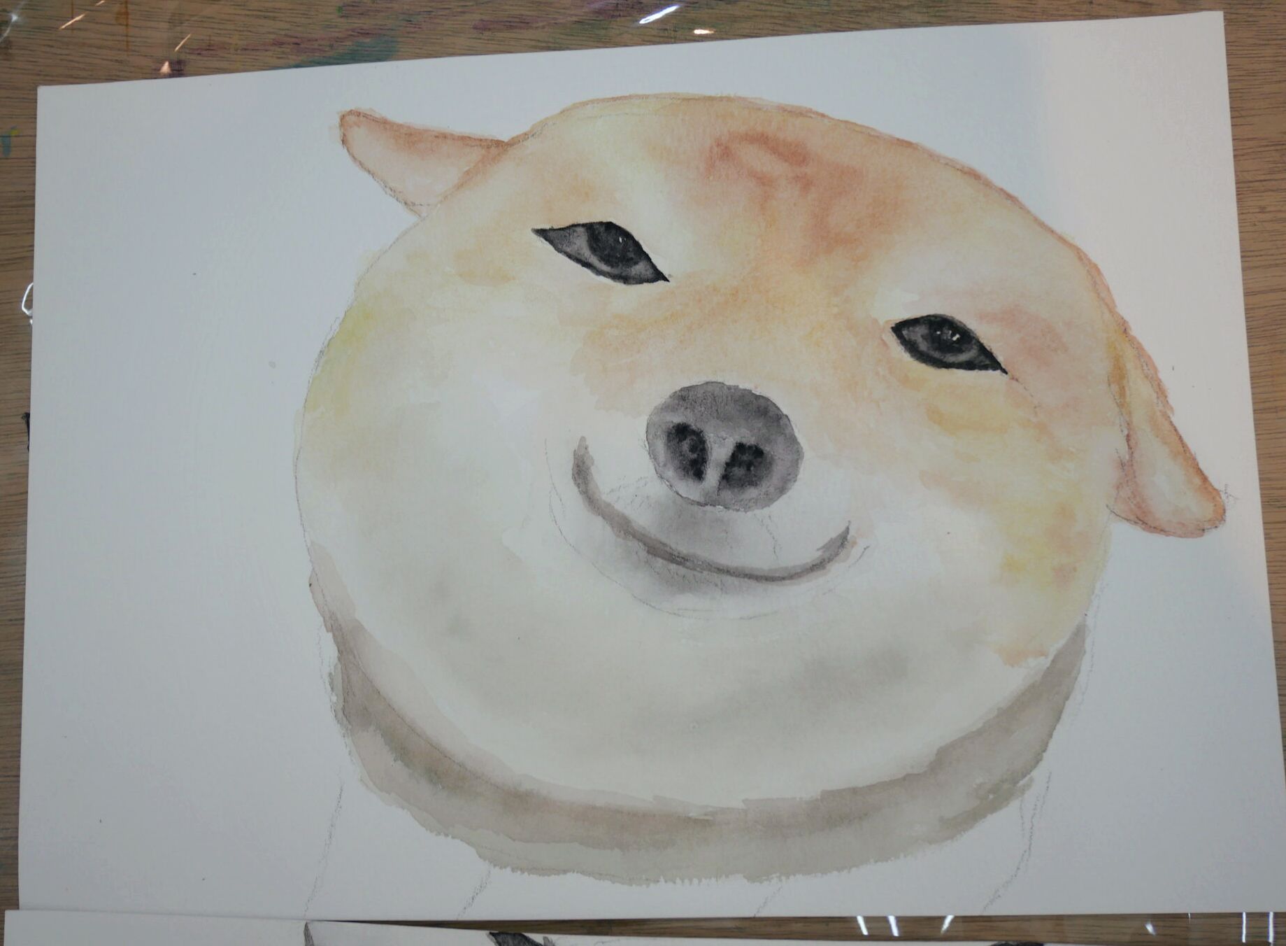 成人課程 - 柴犬