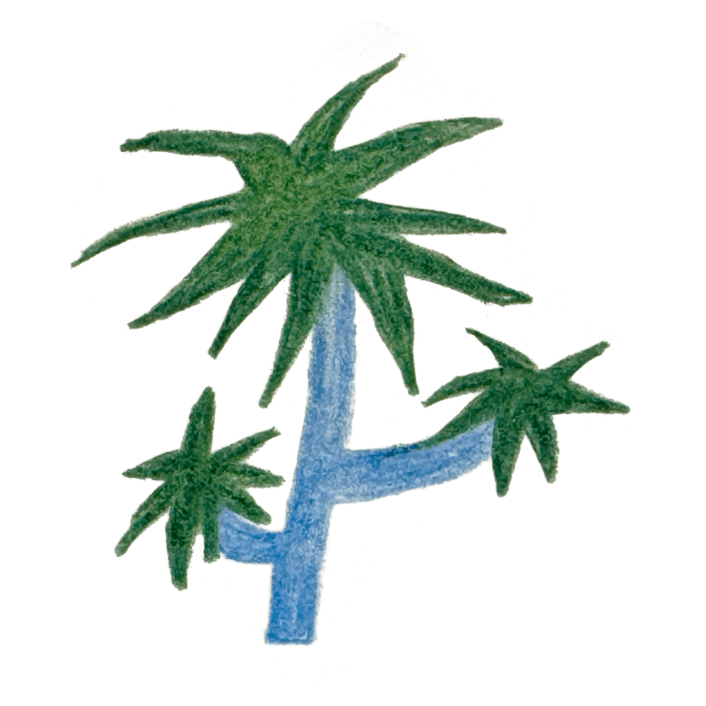 工作坊與營隊 - 插圖 - 針樹