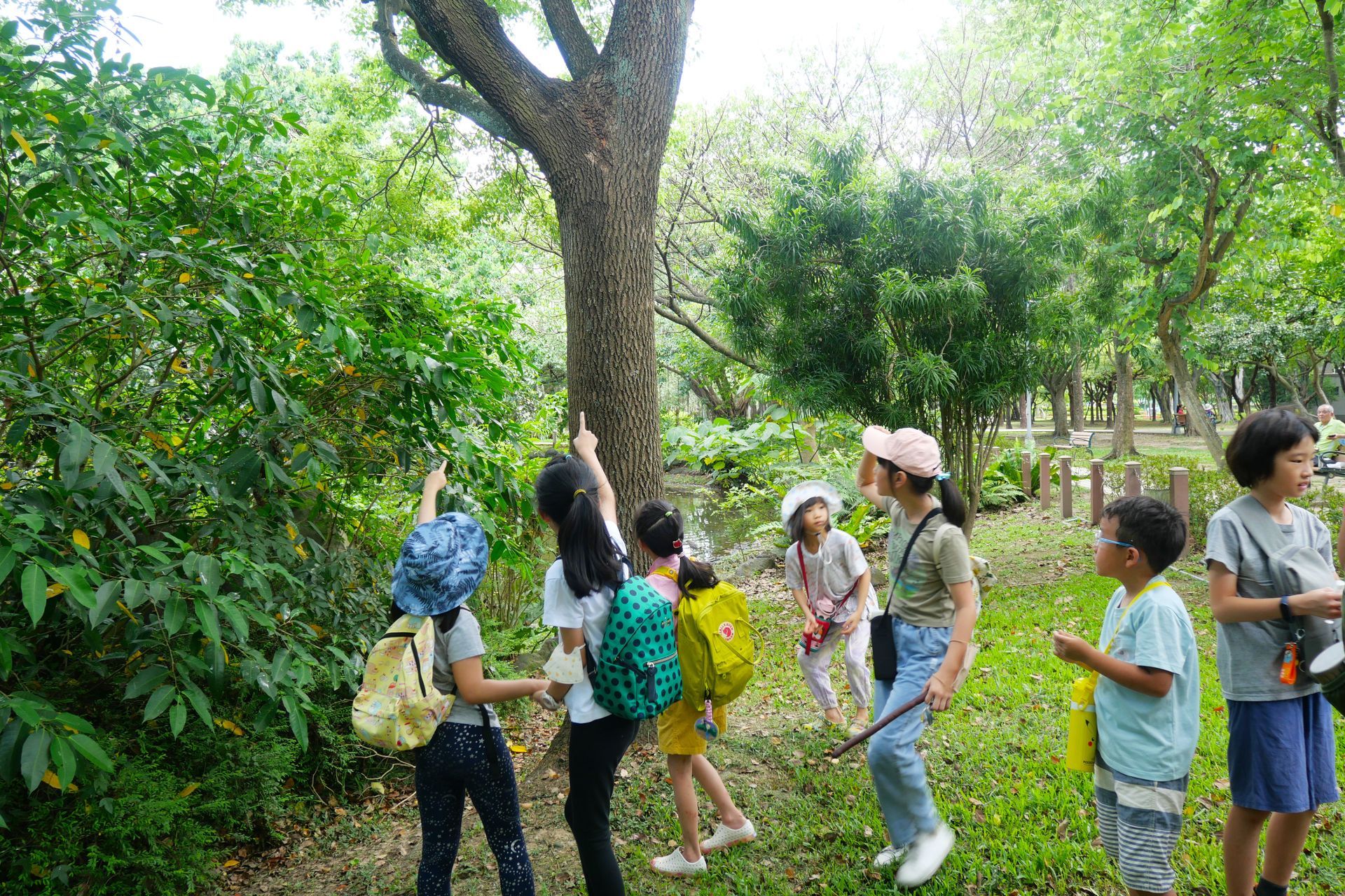 2018 夏令營  大地穹蒼