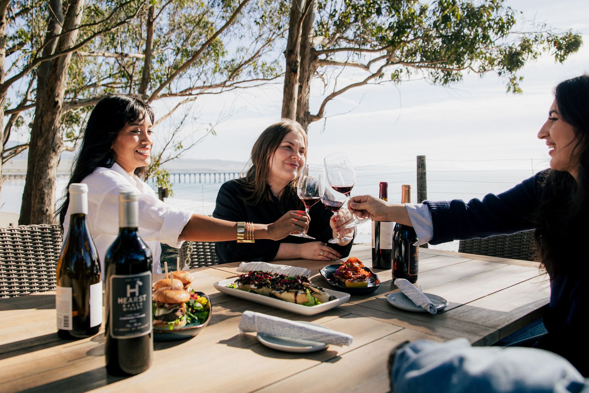Friends toasting wine at an outdoor picnic table with food, trees, and water in the background