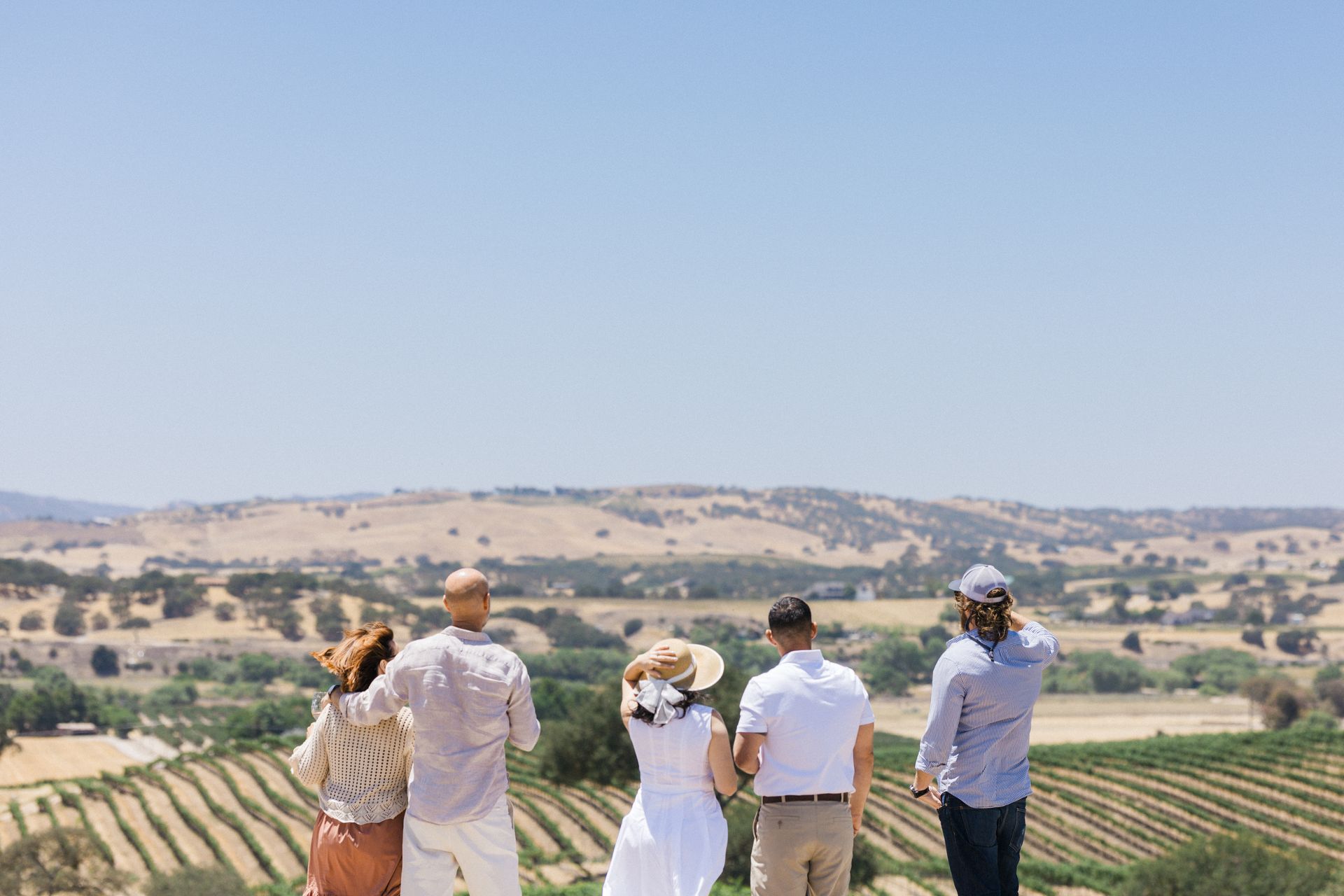 Four people stand overlooking a vineyard and rolling hills under a clear blue sky