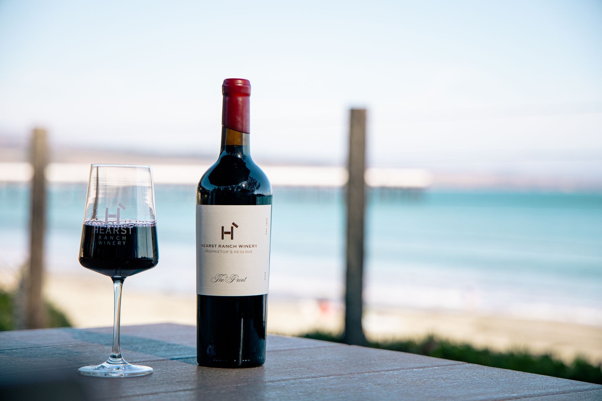 Friends toasting wine at an outdoor picnic table with food, trees, and water in the background