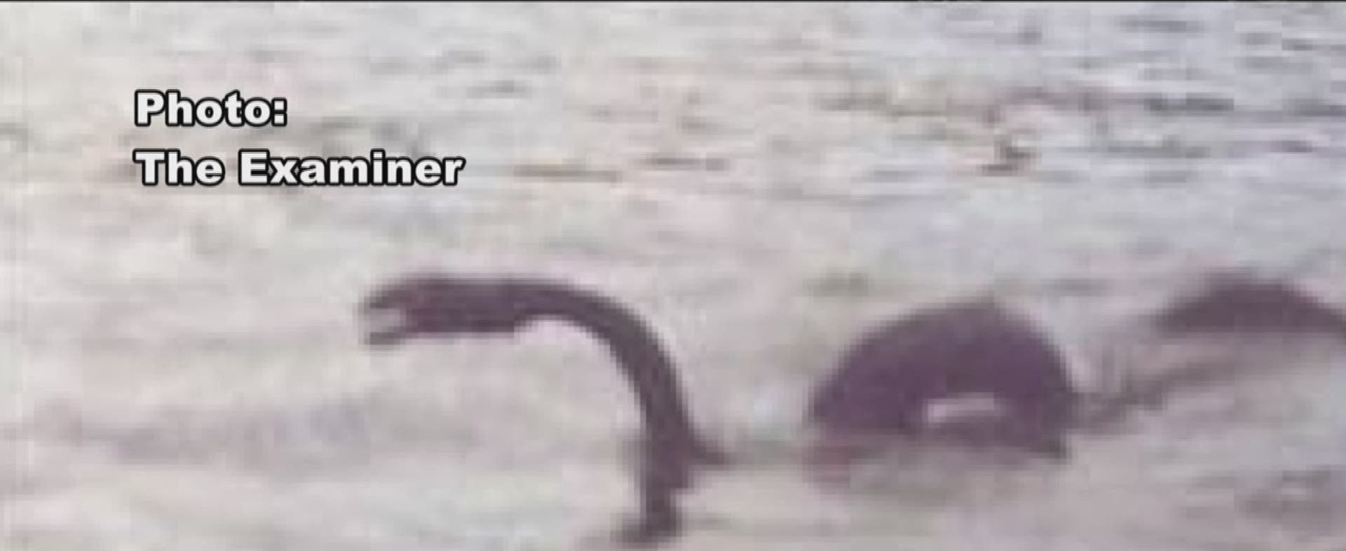 A black and white photo of a monster in the water
