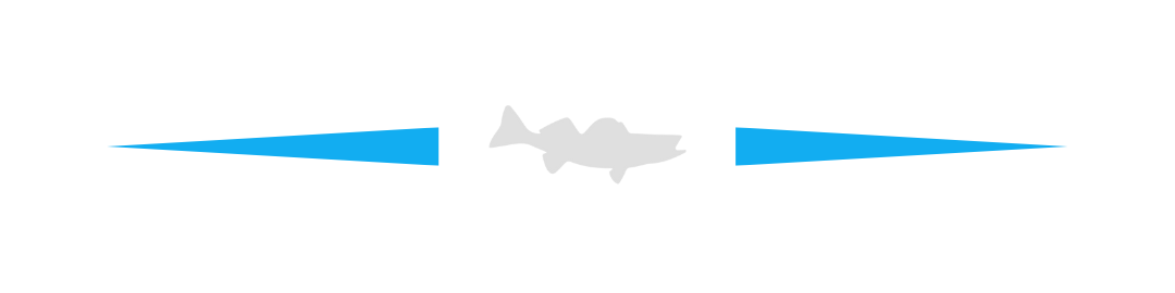 A blue and white arrow on a white background.