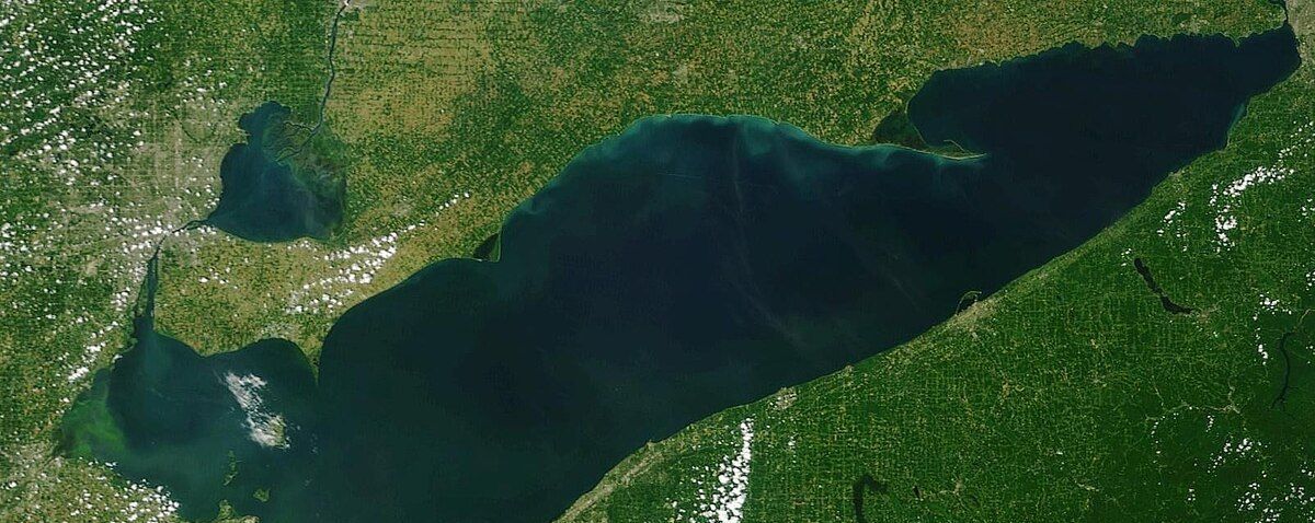 An aerial view of a large body of water surrounded by trees.