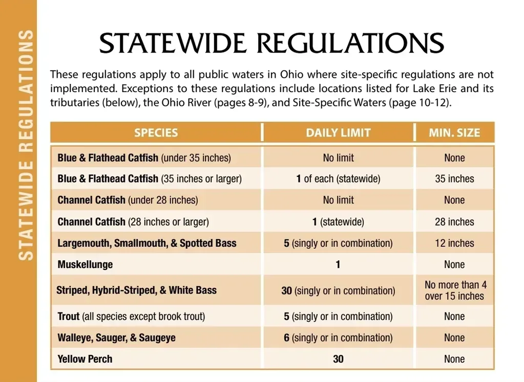 A table of statewide regulations with species and daily limits