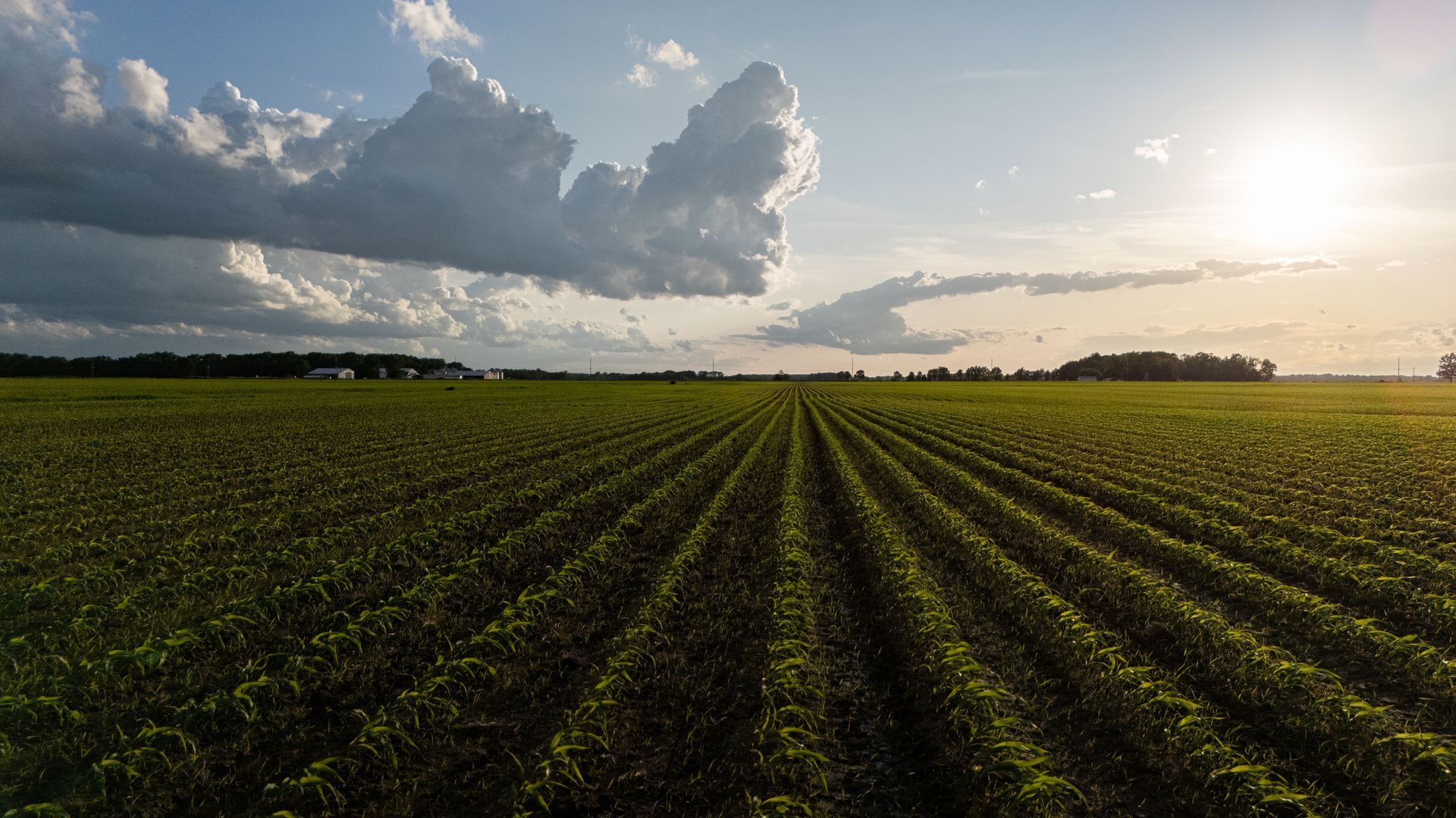 Farm Land in McAllen, TX