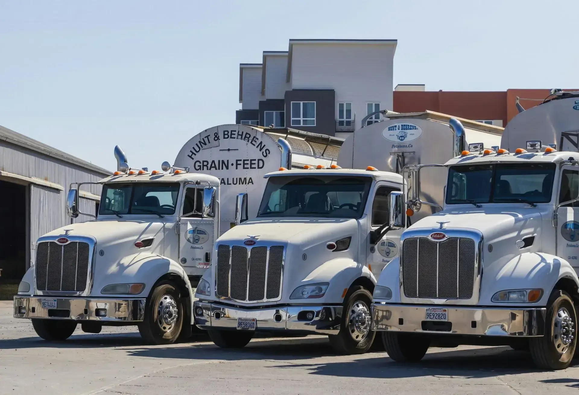 Three white trucks are parked in front of a building.