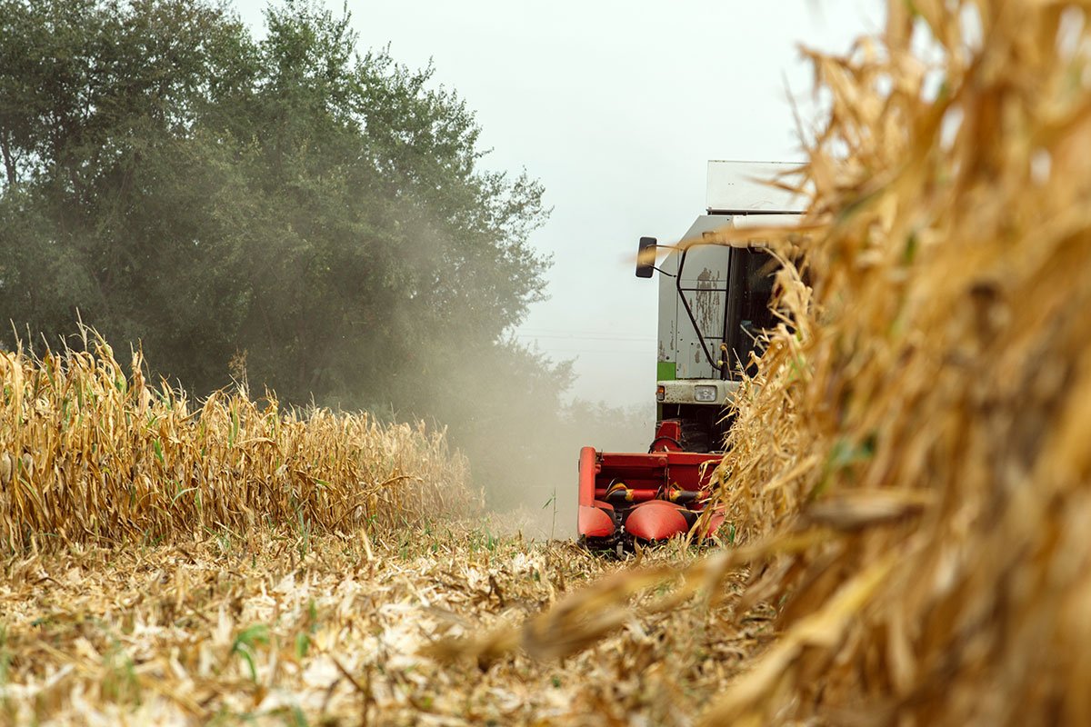 Edgewater Insurance + Real Estate