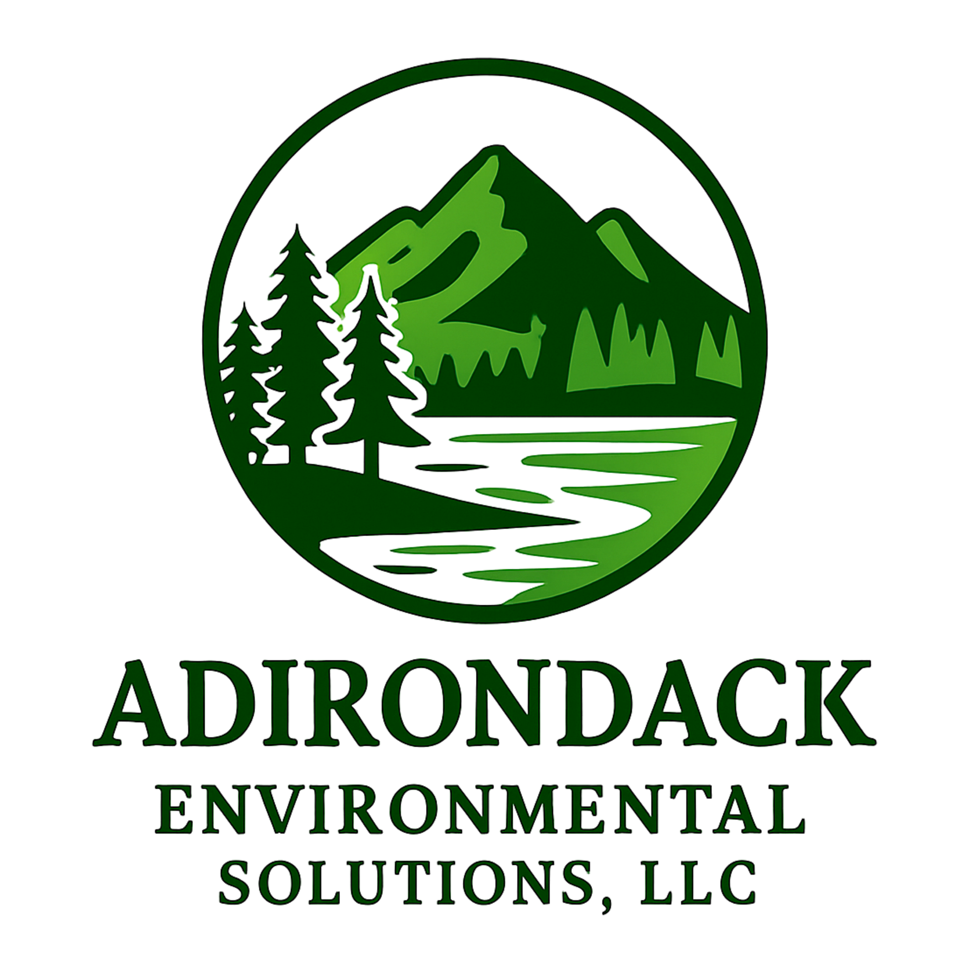 Green mountain and pine forest logo with Adirondack Environmental Solutions, LLC text