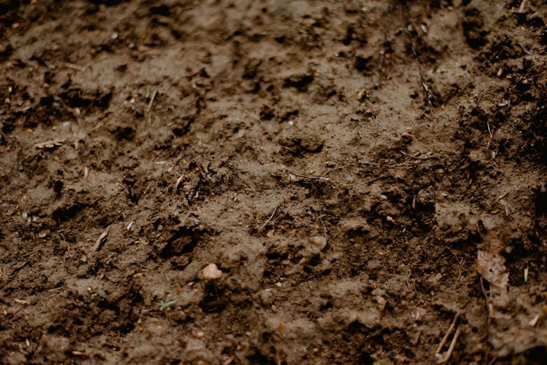 Close-up of dark, muddy soil with scattered rocks and rough texture
