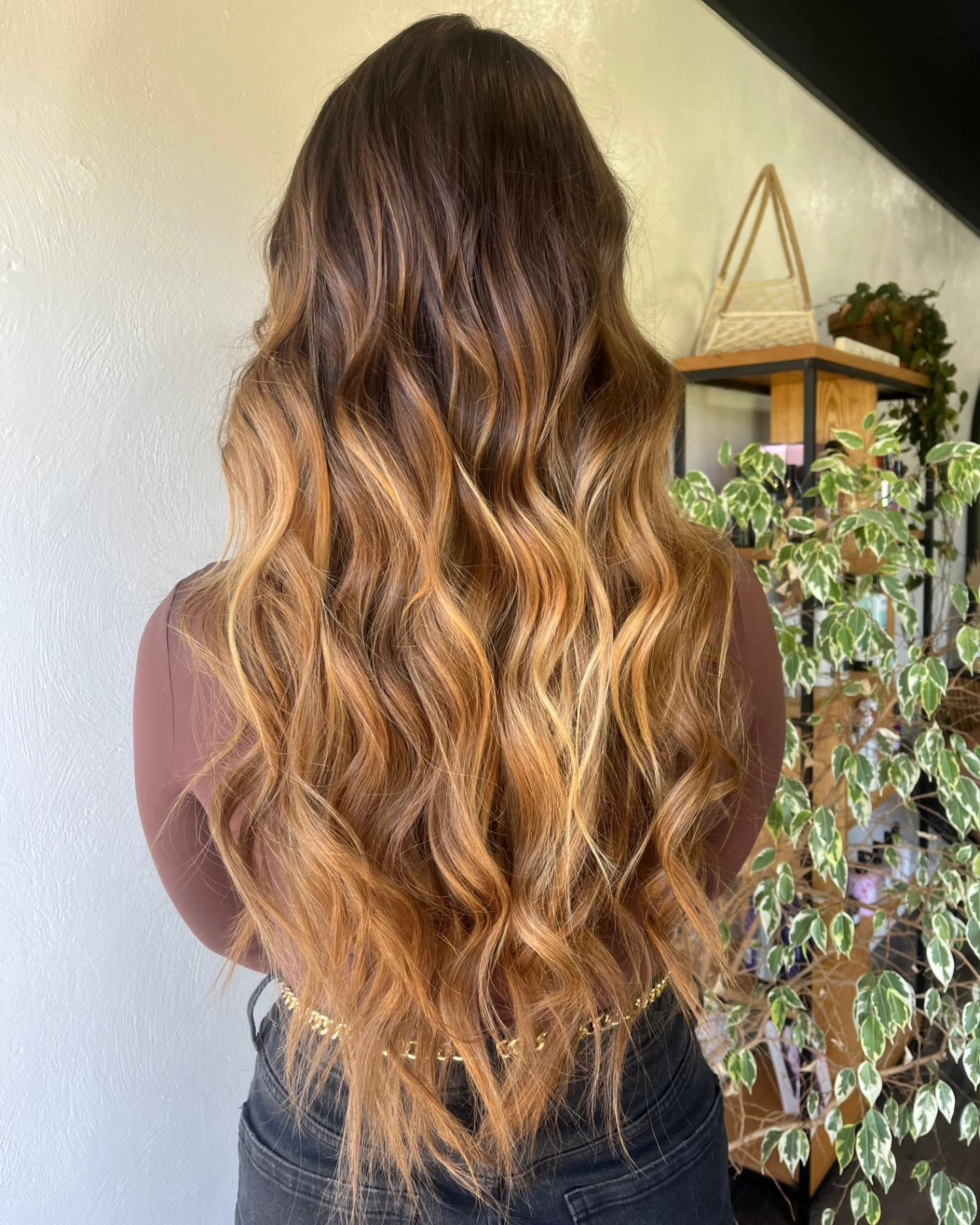 Ombre wavy hair, dark to golden brown, cascading down a person's back.