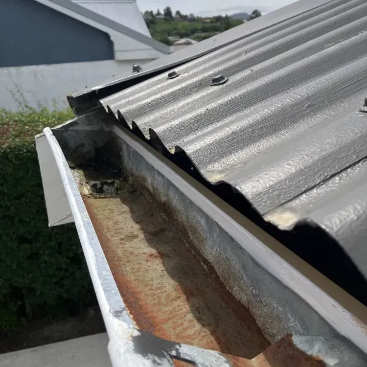 After: gutter cleared of debris as part of a one-storey section clean-up in Bradford, Dunedin.