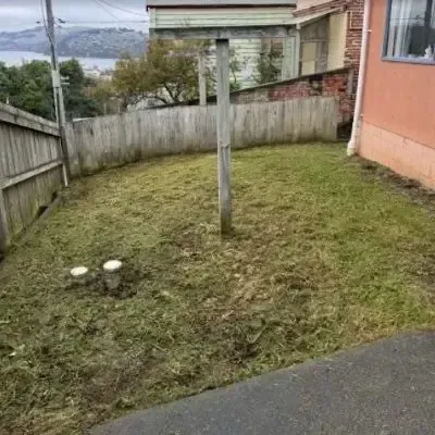 After: Lawn tidied and trimmed short as part of a section clean-up in St Clair, Dunedin.