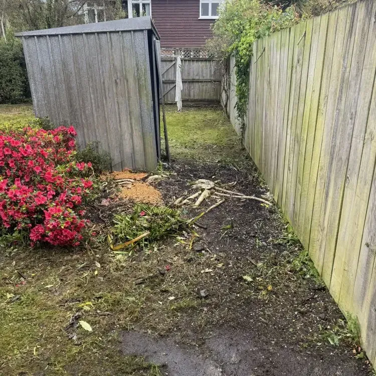 After: a small tree was removed and the area was cleared as part of a section clean-up in Leith Valley, Dunedin.