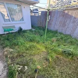 Before: Overgrown backyard lawn and grass around a clothesline in St Kilda, Dunedin.