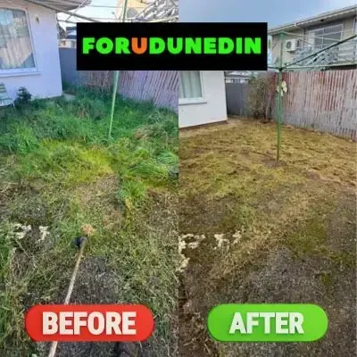 Before & After: Backyard line trimming and lawn clean-up in St Kilda, Dunedin.